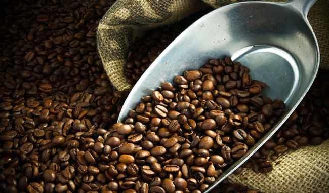 India''s coffee output pegged at record 3.5 lakh tons in 2017-18 India''s coffee output pegged at record 3.5 lakh tons in 2017-18