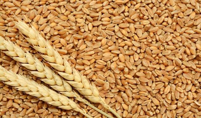 Government can increase the minimum support price of wheat by 100 rupees a quintal