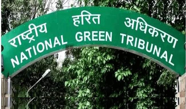 Delhi government faces NGT wrath over use of plastic in city