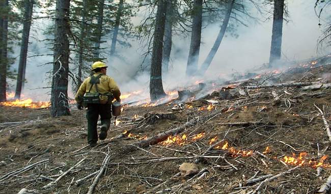 California will take some years recover completely the forest fire