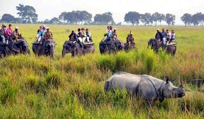 interested in Elephant Safari? here are 10 best spots