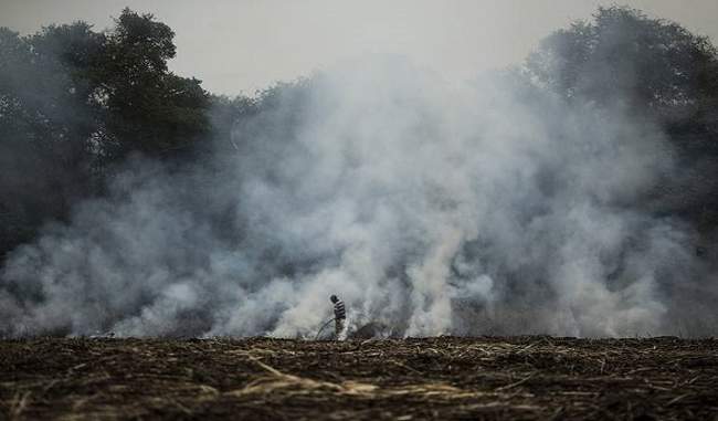 Stubble burning: Punjab govt signs MoU with Chennai-based firm
