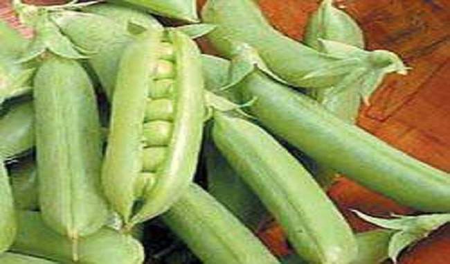 US Senators seek reversal of 50% duty on dry pea imports by India
