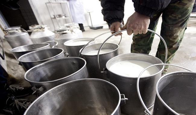 India to become largest milk producer in 2026