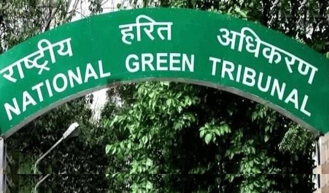 NGT imposes complete ban on nylon and synthetic manja