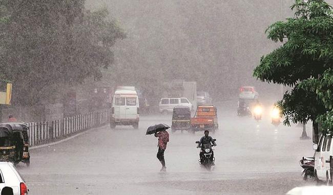 Good rains bring relief to farmers in Maharashtra