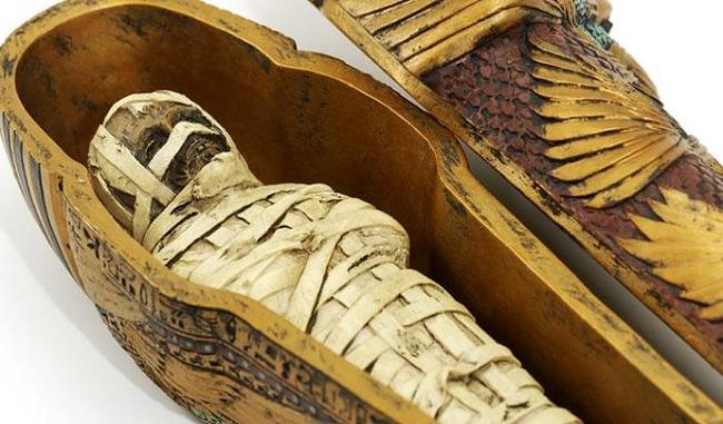 Vadodara makes the museum uniquely "Egyptian Mummy"
