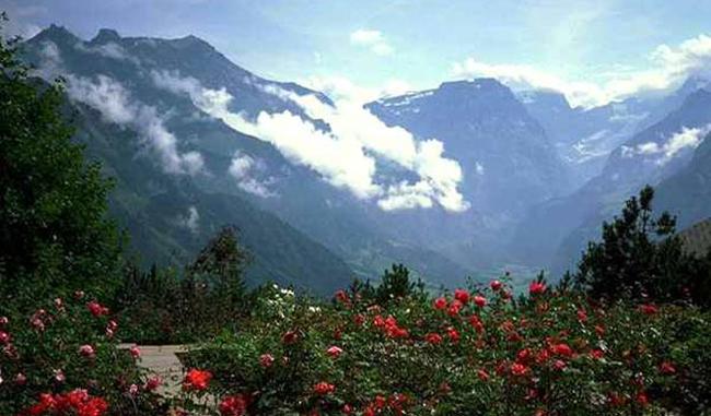Plenty for tourists in queen of mountains Mussoorie