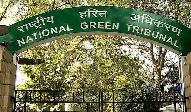 Court will review changes in NGT rules allowing single back