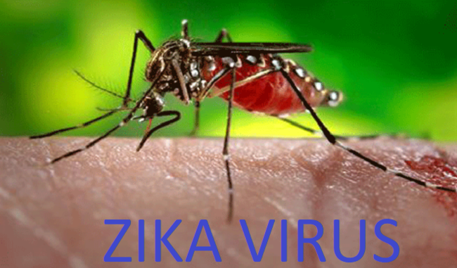zika-cases-in-rajasthan-rise-to-106