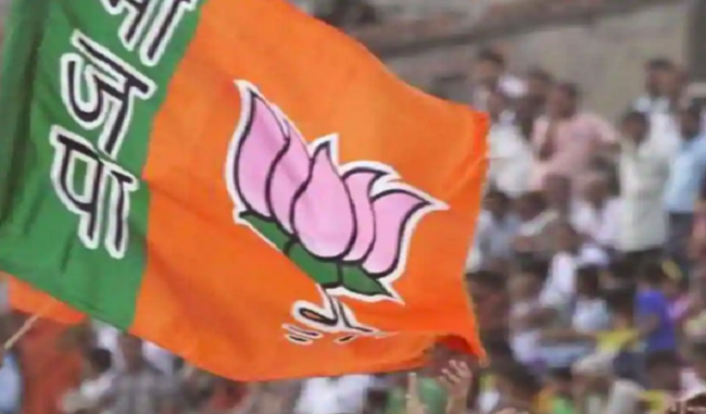 bjp-sweeps-urban-local-body-polls-in-4-districts-of-south-kashmir