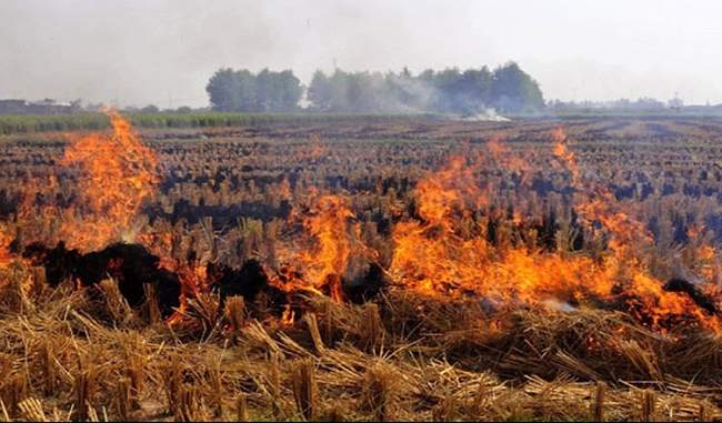 ake-urgent-measures-to-assist-farmers-to-prevent-crop-residue-burning-ngt-to-states