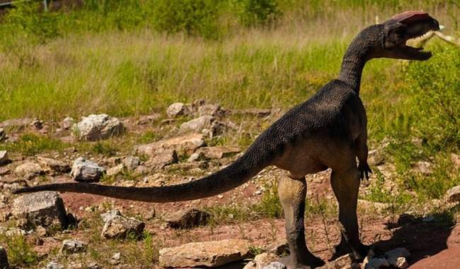 the-discovery-of-new-sauropod-species-dinosaur-in-argentina
