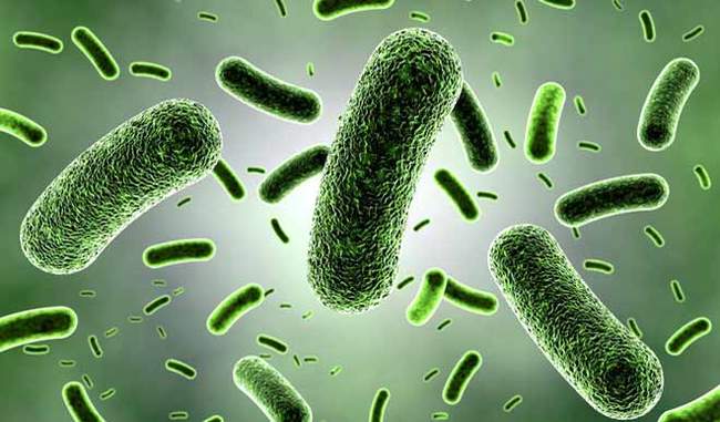 pollution-is-also-increasing-resistant-capacity-in-pathogenic-bacteria
