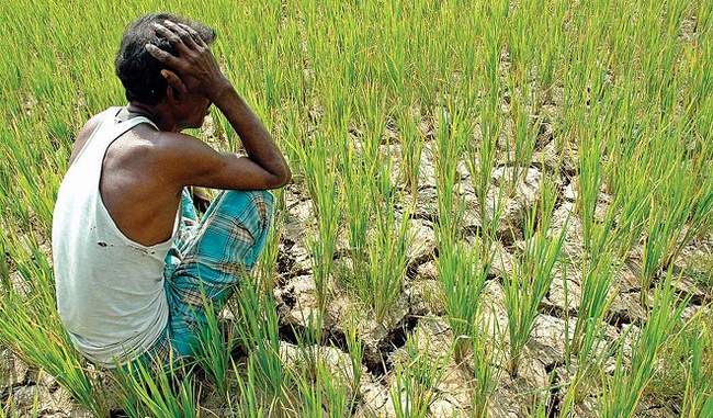 farmer-committed-suicide-in-gujarat-cm-s-program