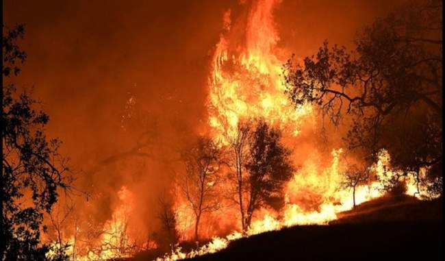 the-number-of-dead-29-in-the-fire-in-california-forests