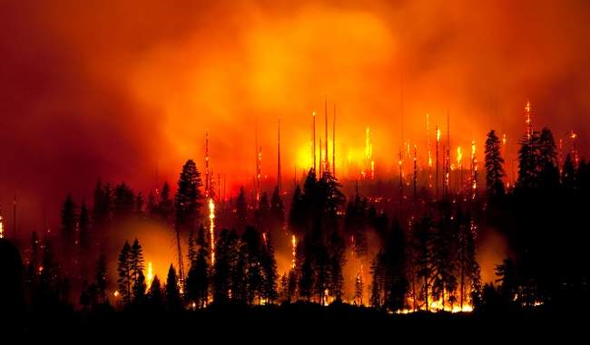 the-number-of-people-killed-in-the-fire-in-california-jungle-was-42