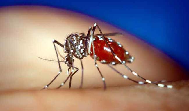 दिल्ली में डेंगू का कहर, 260 नए मामले सामने आए
