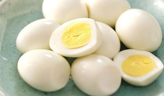 eat-egg-in-pregnancy eat-egg-in-pregnancy