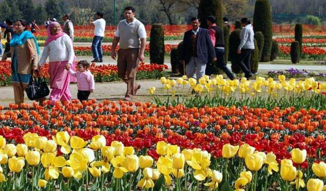 The famous Tulip Garden of Kashmir will open from March 25 this year