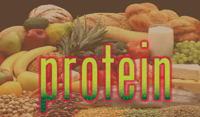 If there is a lack of protein in the body then immediately note it or it will be difficult