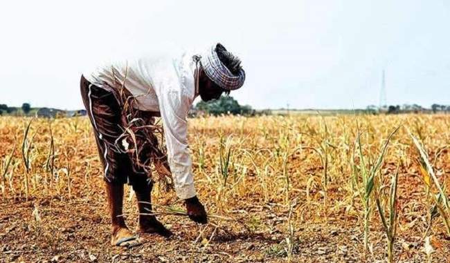 Over 5000 Gujarat farmers battling land acquisition seek death