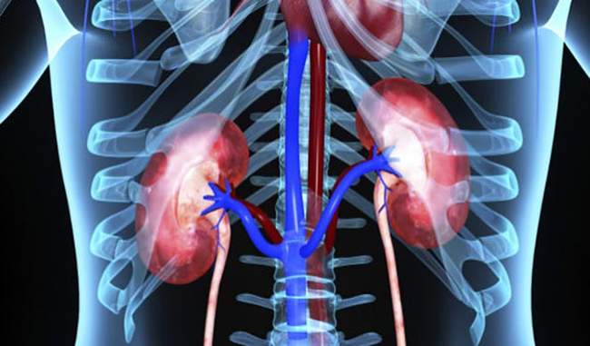 New technology introduced for identification of kidney diseases