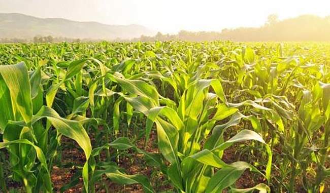 Increasing carbon dioxide can lead to pests in crops