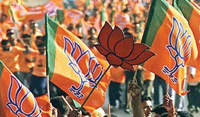 BJP Plans for Lok Sabha elections