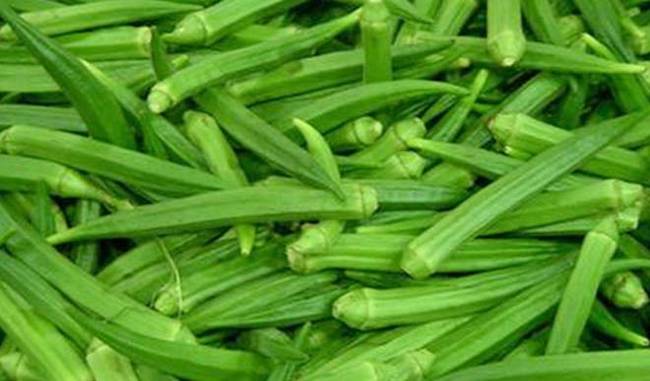 lady finger is best vegetable for your health