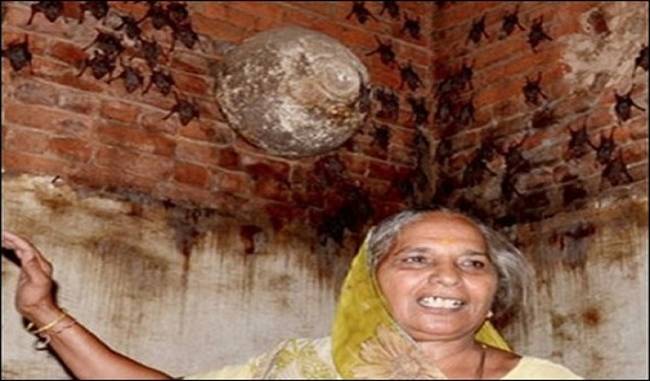 Gujarat woman shares home with 2,000 bats