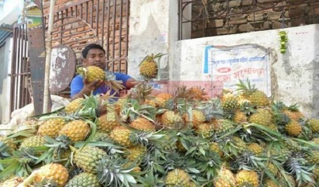 President Ram Nath Kovind To Declare Pineapple As State Fruit Of Tripura