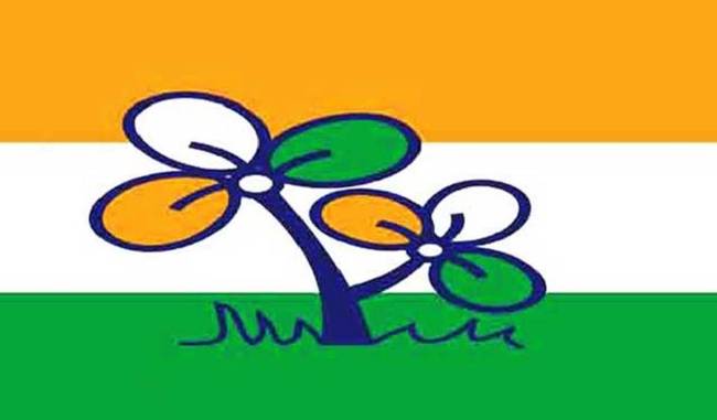 TMC will change largely on organizational structure for Lok Sabha elections