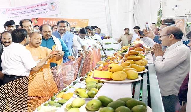 ''Yogi mango'' among 700 varieties at UP fest