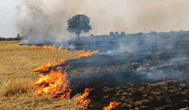 Pollution of Punjab and Haryana Parali is spreading across the country