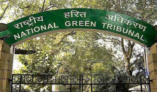 NGT asks Volkswagen to explain reasons for not recalling cars