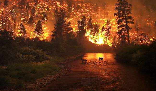 california-biggest-fires