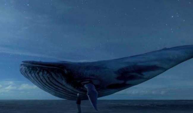 no-evidence-of-any-death-due-to-blue-whale-challenge-game