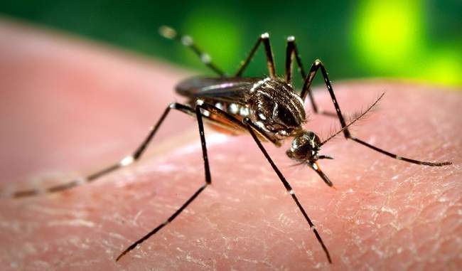 dengue-claims-30-lives-over-14000-people-affected-across-country