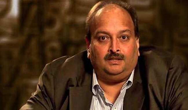 interpol-panel-to-decide-next-month-india-s-pending-rcn-request-against-choksi