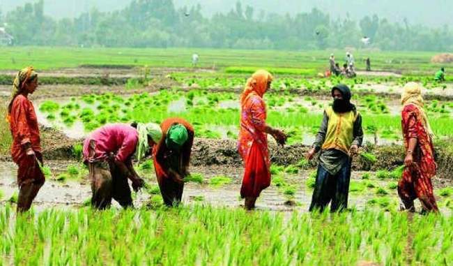 sowing-of-kharif-sowing-better-than-heavy-rain-minister-of-agriculture-says