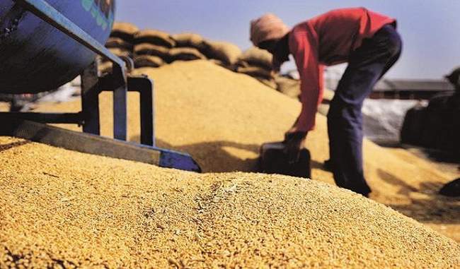 government-targets-28-52-million-tonnes-of-grain-production-in-2018-19
