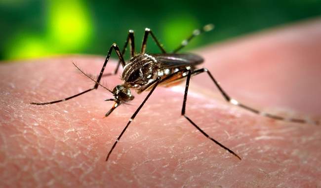 dengue-cases-in-delhi-jump-to-340-236-in-september-alone
