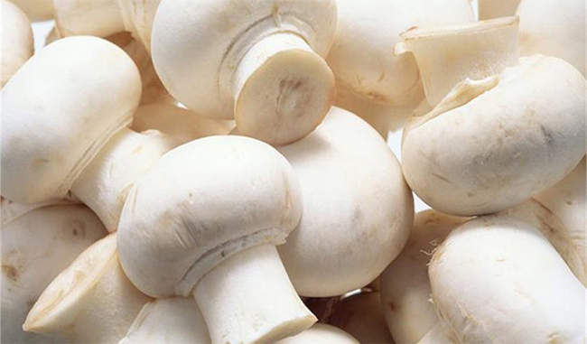 benefits-of-eating-mushroom