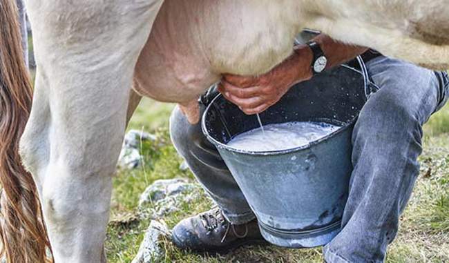 cow-milk-benefits-for-child