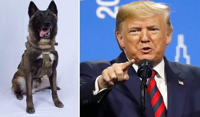 america-will-not-reveal-the-identity-of-the-dog-injured-during-baghdadi-s-death