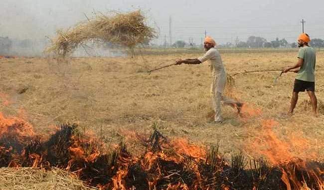khattar-announced-a-reward-of-1000-rupees-for-those-who-reported-burning-stubble