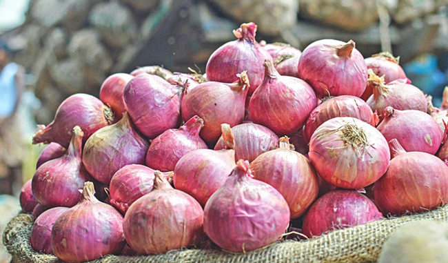onion-prices-will-soon-come-down-modi-government-will-import-one-lakh-tons-of-onions
