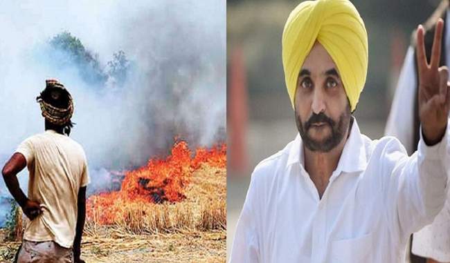 opinion-of-aap-mp-differs-from-kejriwal-openly-came-in-support-of-burning-stubble