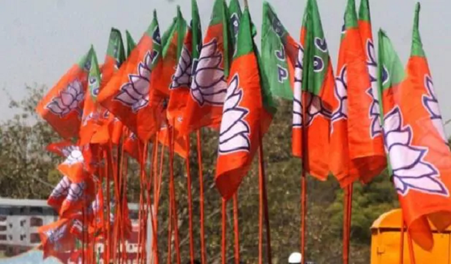 bjp-candidate-said-confusion-over-nrc-led-to-party-defeat-in-by-election